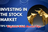 Beginner Stock Market Tips