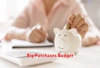 Big Purchases Budget