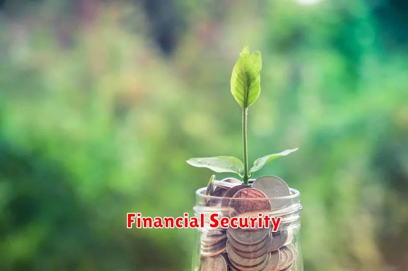 Financial Security