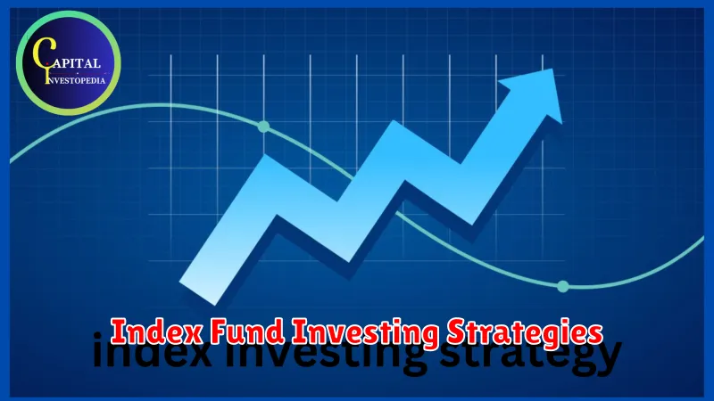 Index Fund Investing Strategies