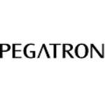 PT Pegaunihan Technology Indonesia company logo