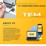 PT Tribintang Emas Mulia company logo